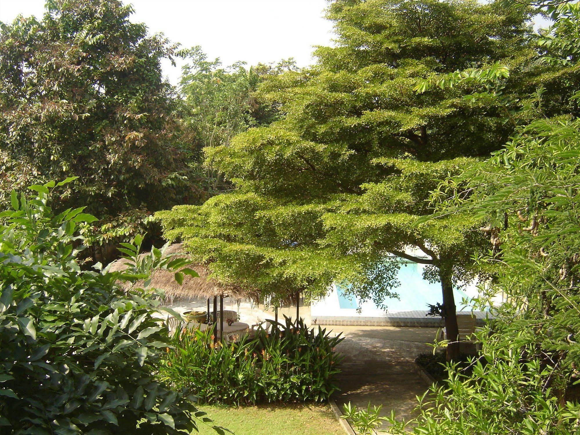 Golden Cupids Hotel Chiang Mai Zewnętrze zdjęcie